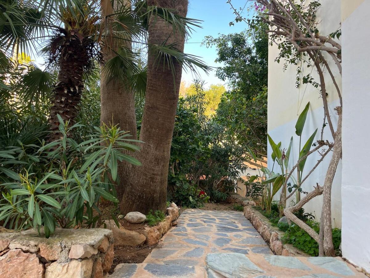 Villa Rosita Ibiza Ταλαμάνκα Εξωτερικό φωτογραφία